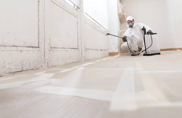 24/7 Emergency Black Mold Remediation experts in Wade, NC
